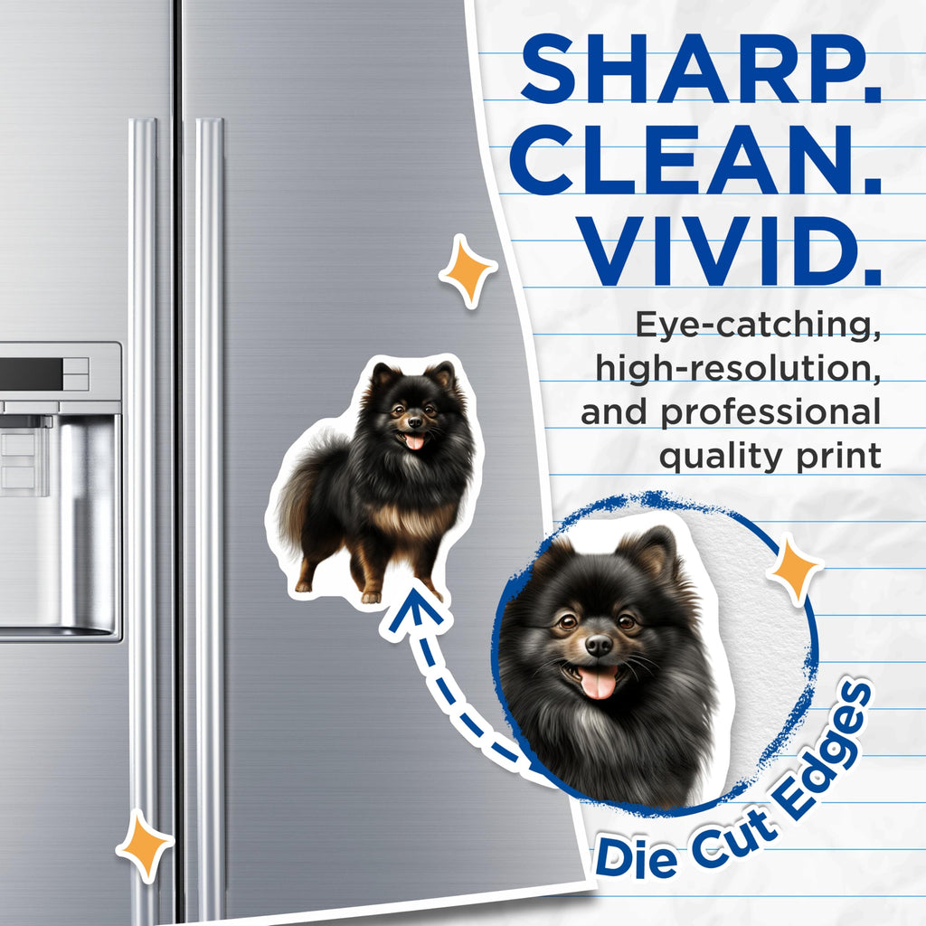 (2 Pack) Black Pomeranian Magnets - Fluffy Dog Decor - Pomeranian Mom Lover Item - 5 Inches On Longest Side - Thick Durable Magnet - Made in USA - MAG28308