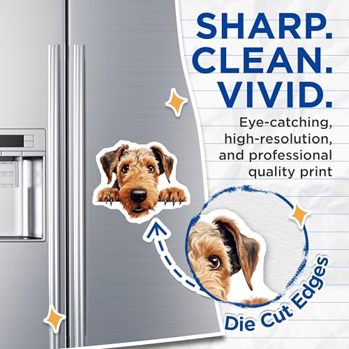 (2 Pack) Animal Lover Magnet - Home and Office Decor - 5" On Longest Side - Sticks to Smooth Flat Surfaces - Made in USA - MAG9817