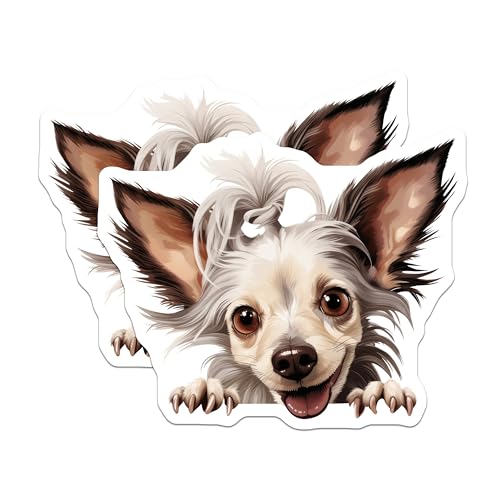 (2 Pack) Puppy Face Decoration Magnet - 5" On Longest Side - Sticks to Smooth Flat Surfaces - Made in USA - MAG9930