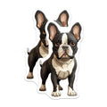 (2 Pack) Boston Terrier Magnets - Cute Dog Lover Magnets - Animal Art Fridge Magnets - Pet Owner Accessory - 5 Inches On Longest Side - Thick Durable Magnet - Made in USA - MAG26996