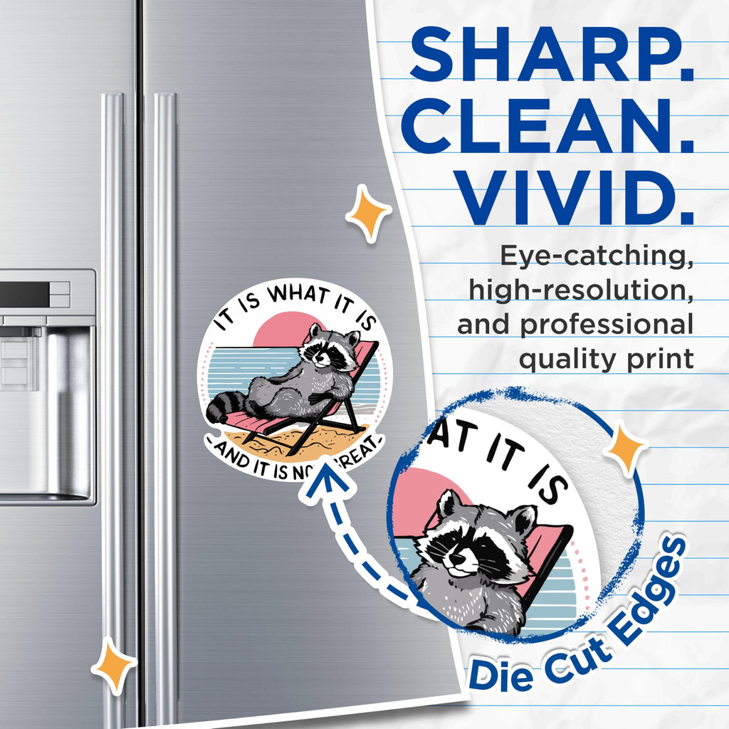(2 Pack) It is What It is and It is Not Great Magnets - Funny Raccoon Laying on The Beach Magnets - 5" On Longest Side - Premium Vinyl - for Cars, Refrigerators, Toolboxes - Made in USA - MAG2092