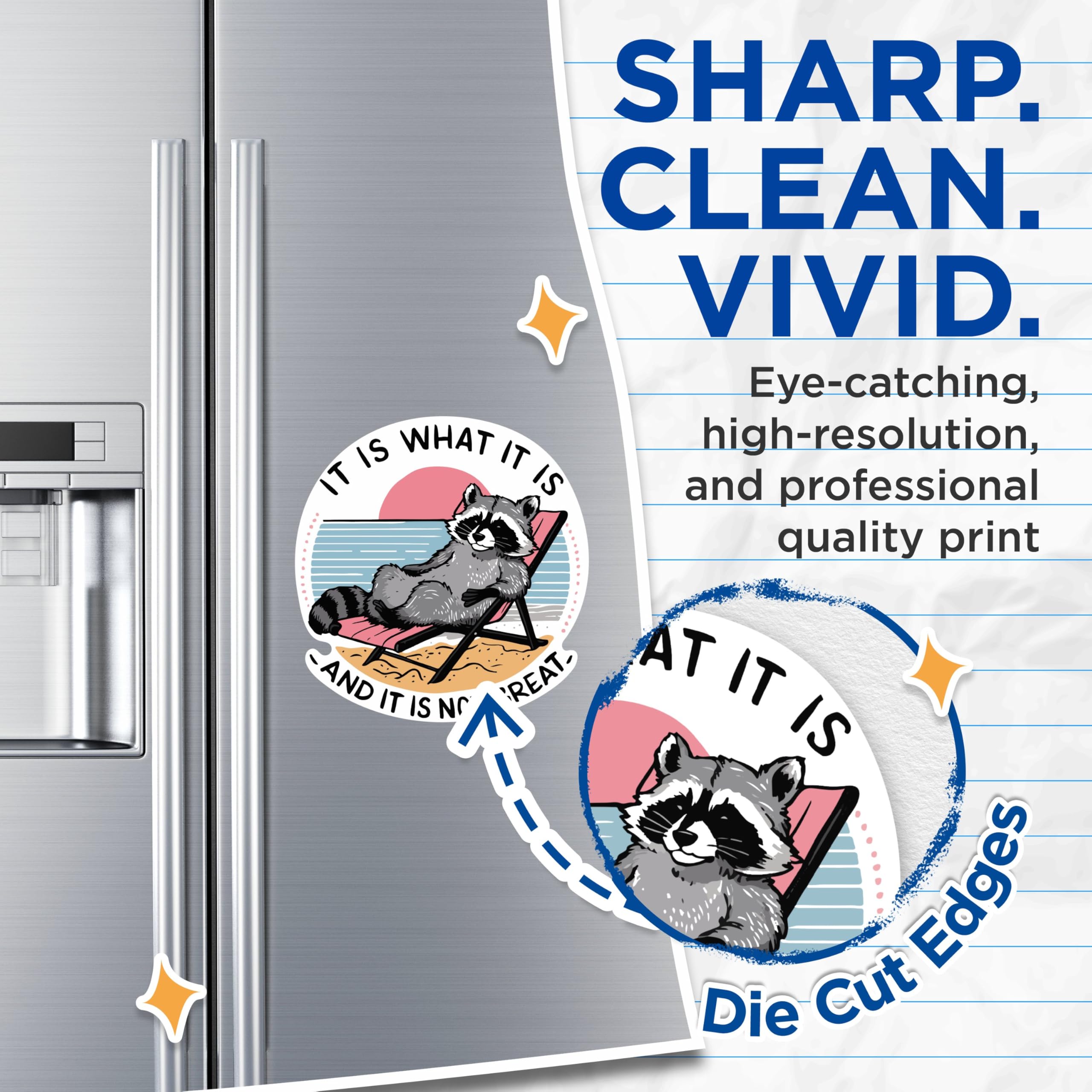 (2 Pack) It is What It is and It is Not Great Magnets - Funny Raccoon Laying on The Beach Magnets - 5" On Longest Side - Premium Vinyl - for Cars, Refrigerators, Toolboxes - Made in USA - MAG2092
