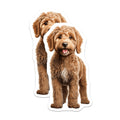 (2 Pack) Goldendoodle Puppy Magnets - Dog Lover Decor - Pet Owner Kitchen Accessories - 5 Inches On Longest Side - Thick Durable Magnet - Made in USA - MAG29235