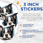(3 Pack) Boston Terrier Decals - Dog Breed Stickers - Laptop Decals - 3 Inches On Longest Side - Easy Peel & Apply - Made in USA - 3MCS8647
