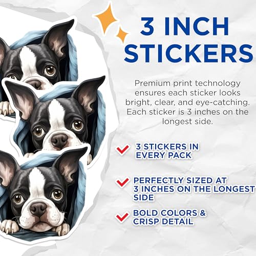 (3 Pack) Boston Terrier Decals - Dog Breed Stickers - Laptop Decals - 3 Inches On Longest Side - Easy Peel & Apply - Made in USA - 3MCS8647