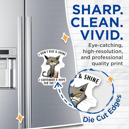 (2 Pack) Funny Cat Magnets - 5" On Longest Side - for Cars, Fridges, Toolboxes - Made in USA - MAG7819