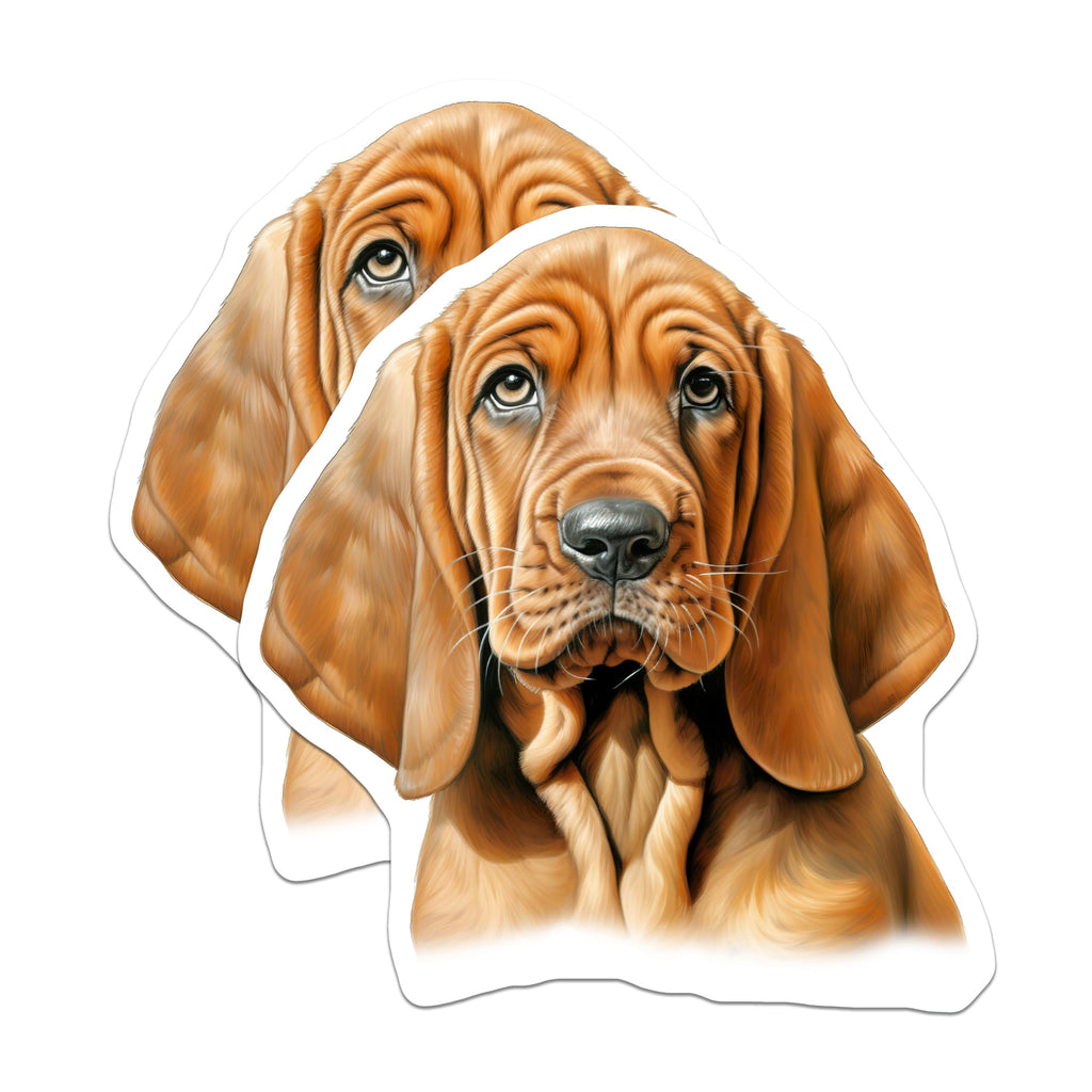 (2 Pack) Bloodhound Dog Magnets - Hound Lover Decor - Pet Owner Fridge Art - Dog Mom Dad Bloodhound Collectible - 5 Inches On Longest Side - Thick Durable Magnet - Made in USA - MAG30856