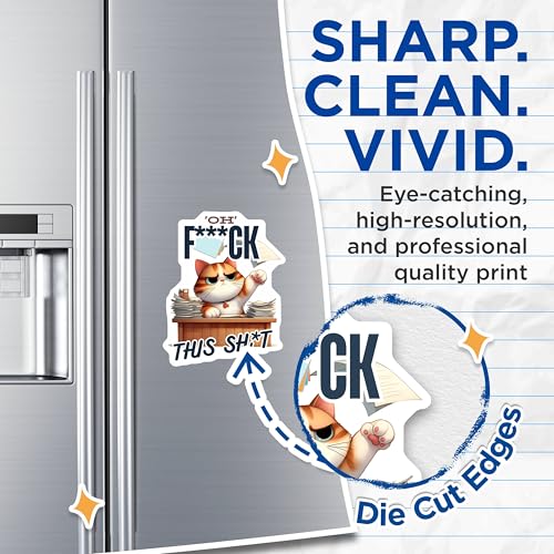 (2 Pack) Funny Cat Quote Magnets - Office Decor - Desk Humor - Motivational Magnets - Cat Lover Gifts - 5" On Longest Side - for Cars, Fridges, Toolboxes - Made in USA - MAG6874