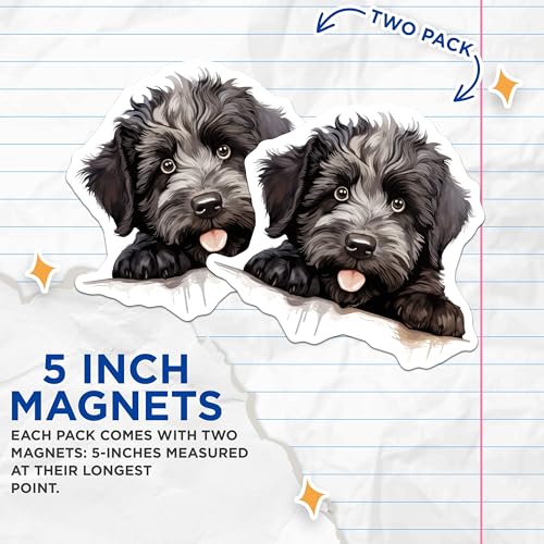 (2 Pack) Kitchen Decor Magnet - Home Organizers - 5" On Longest Side - Sticks to Smooth Flat Surfaces - Made in USA - MAG9885