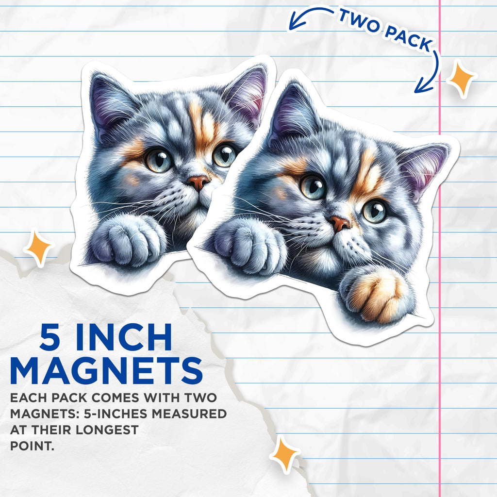 (2 Pack) Cute Cat Magnets - Kitten Fridge Decor - Adorable Pet Reminders - 5" On Longest Side - Premium Magnet - for Cars, Refrigerators, Toolboxes, Lockers - Made in USA - MAG16334