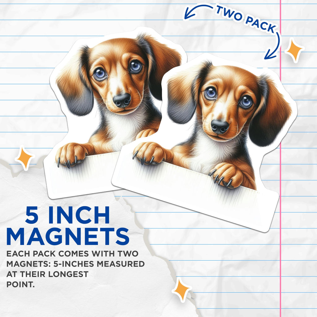 (2 Pack) Dachshund Dog Magnets - Wiener Dog - Sausage Dog Refrigerator Decor - 5" On Longest Side - Premium Magnet - for Cars, Refrigerators, Toolboxes, Lockers - Made in USA - MAG14580