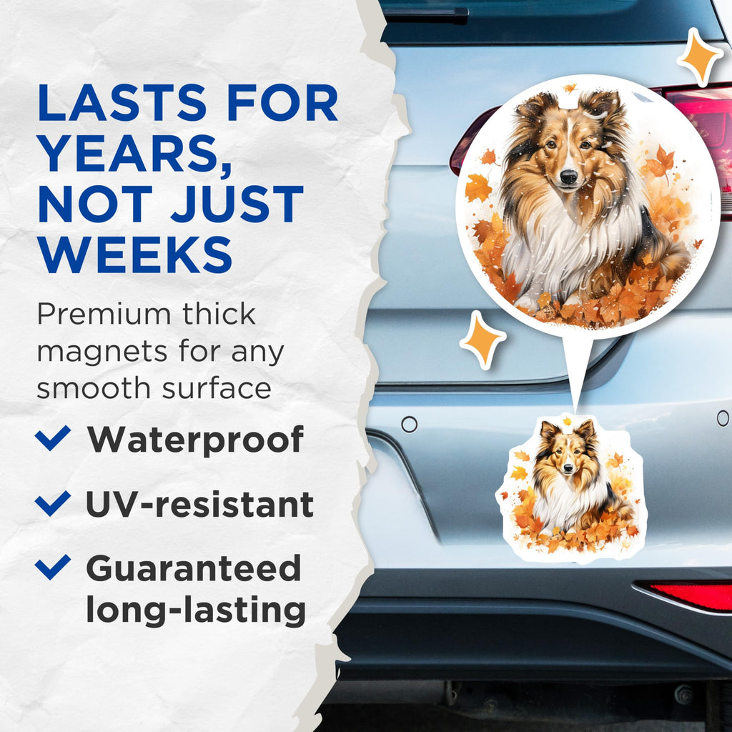 (2 Pack) Shetland Sheepdog Magnets - Autumn Fall Sheltie Dog Lover Decor - Pet Refrigerator Accessory - 5 Inches On Longest Side - Thick Durable Magnet - Made in USA - MAG28205