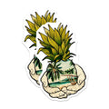 (2 Pack) Pineapple Beach Magnets - Tropical Fruit - Hand Design - 5" On Longest Side - Premium Magnet - for Cars, Refrigerators, Toolboxes, Lockers - Made in USA - MAG16505