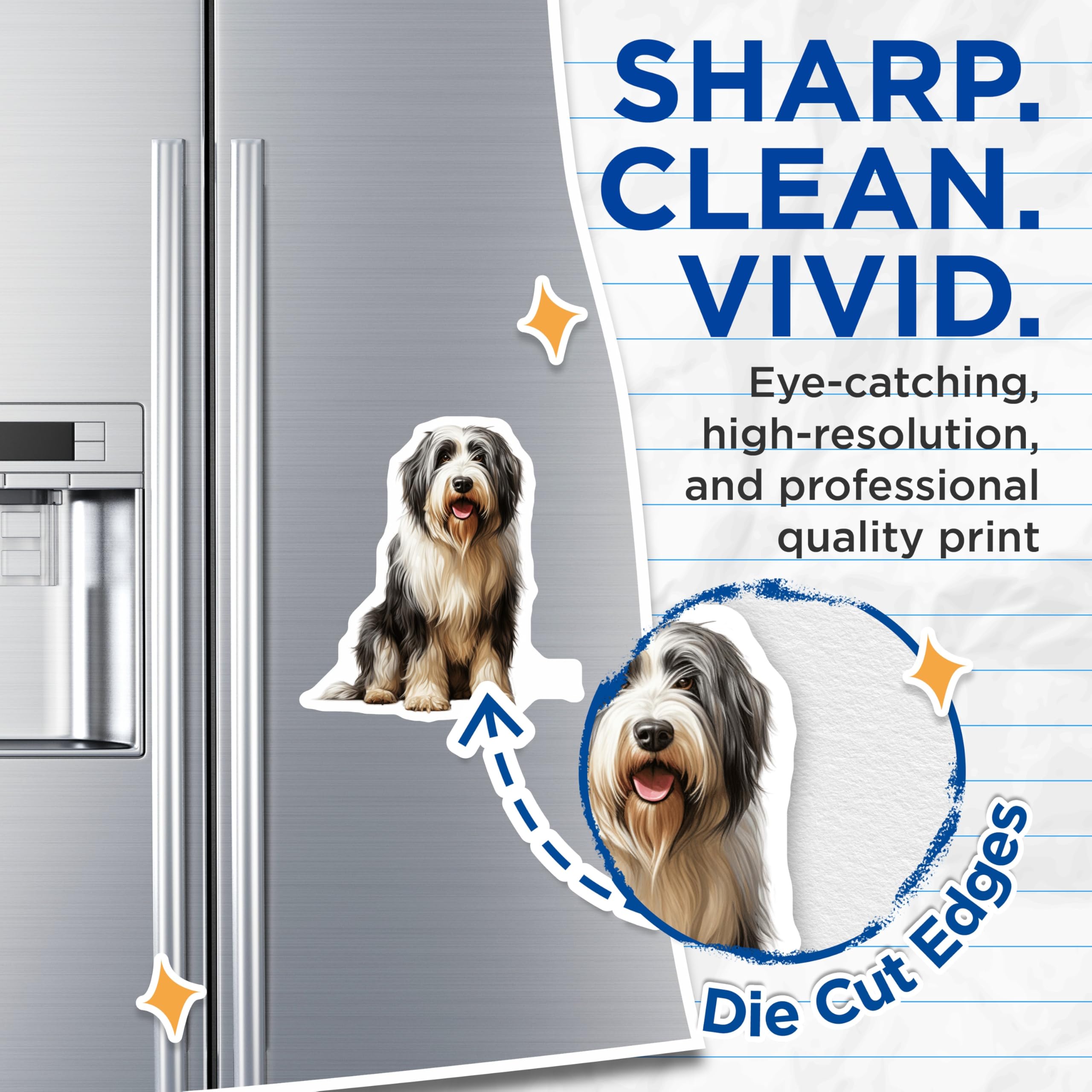 (2 Pack) Bearded Collie Dog Magnets - Shaggy Dog Breed Art - Pet Lover Refrigerator Decor - Cute Animal Fridge - 5 Inches On Longest Side - Thick Durable Magnet - Made in USA - MAG29951