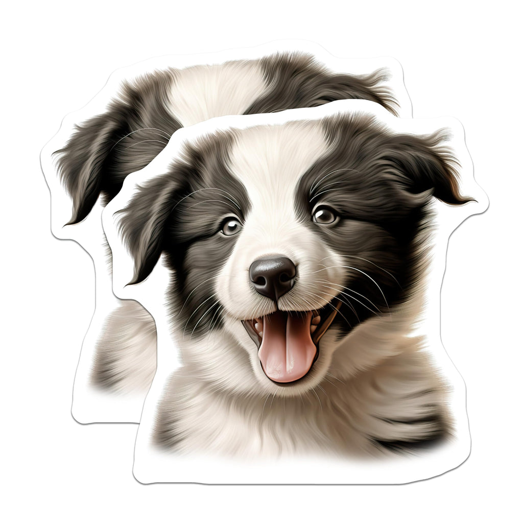(2 Pack) Border Collie Puppy Magnets - Cute Dog Refrigerator Decor - Pet Owner Kitchen Accessories - 5 Inches On Longest Side - Thick Durable Magnet - Made in USA - MAG28045