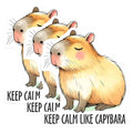 (3 Pack) Capybara Decals - Keep Calm Decal - Laptop Decals - 3 Inches On Longest Side - Easy Peel & Apply - Made in USA - 3MCS2038