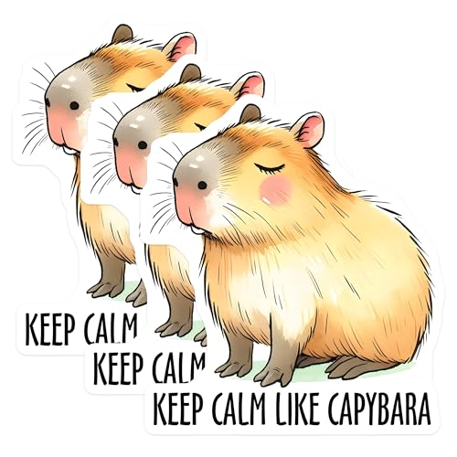 (3 Pack) Capybara Decals - Keep Calm Decal - Laptop Decals - 3 Inches On Longest Side - Easy Peel & Apply - Made in USA - 3MCS2038