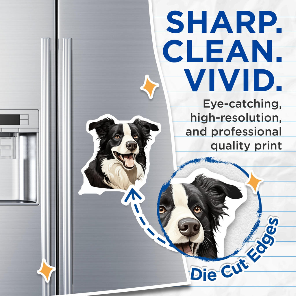 (2 Pack) Border Collie Magnets - Dog Lover Fridge Decor - Pet Parent Kennel Club Gift - Animal Enthusiast Accessory - 5 Inches On Longest Side - Thick Durable Magnet - Made in USA - MAG30144