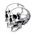 (2 Pack) Skull Magnets - Gothic Fridge Decor - Halloween Kitchen Accent - Edgy Art Accessory - Rebel Locker Label - 5 Inches On Longest Side - Thick Durable Magnet - Made in USA - MAG38767