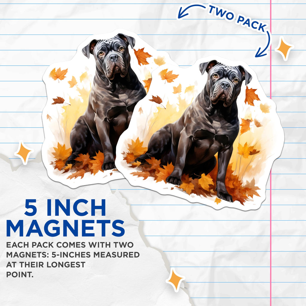 (2 Pack) Cane Corso Magnets - Autumn Dog Art Decor - Italian Mastiff Pet Owner Refrigerator Accessories - 5 Inches On Longest Side - Thick Durable Magnet - Made in USA - MAG29008
