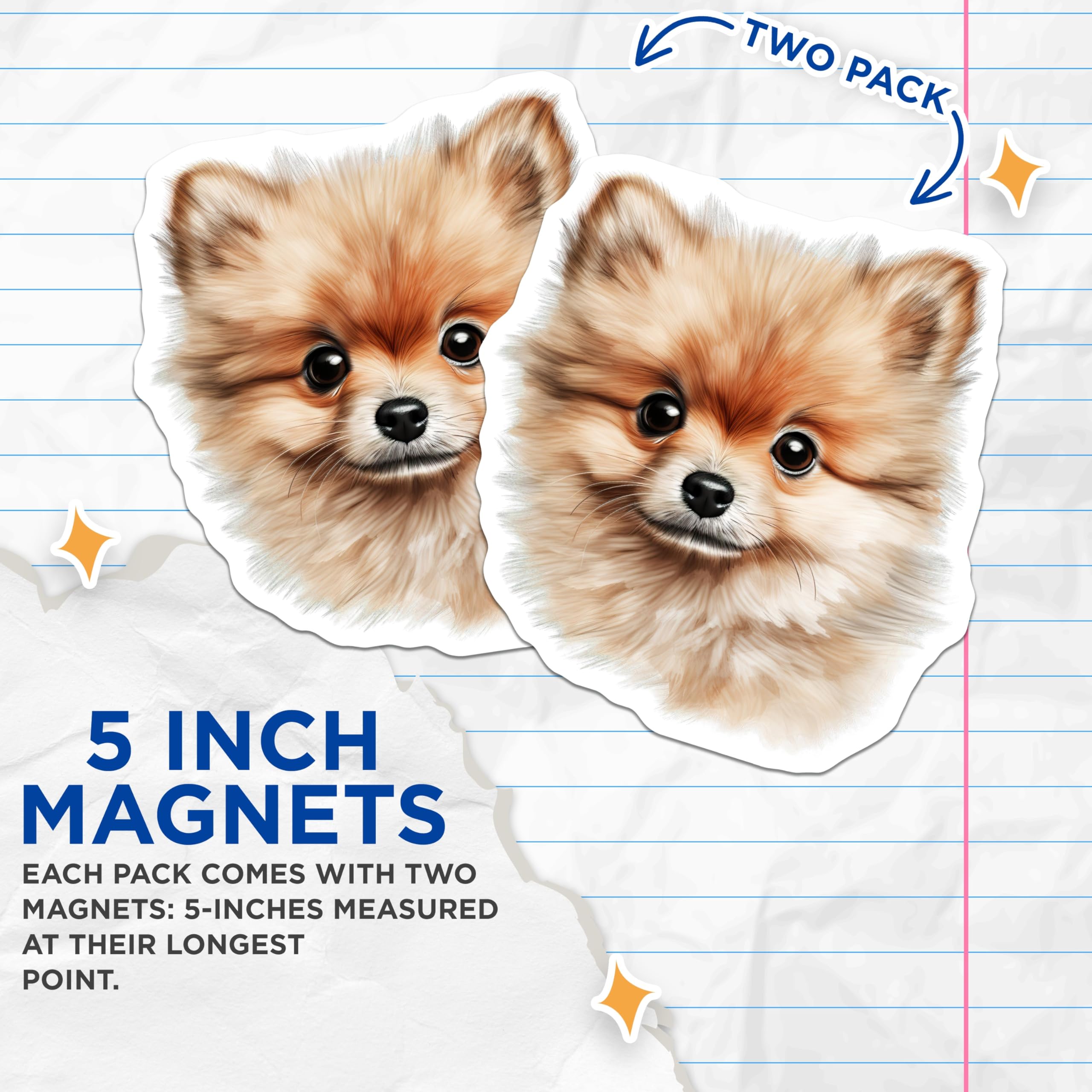 (2 Pack) Pomeranian Dog Magnets - Fluffy Puppy Art - Pet Owner Fridge Magnets - 5 Inches On Longest Side - Thick Durable Magnet - Made in USA - MAG26718