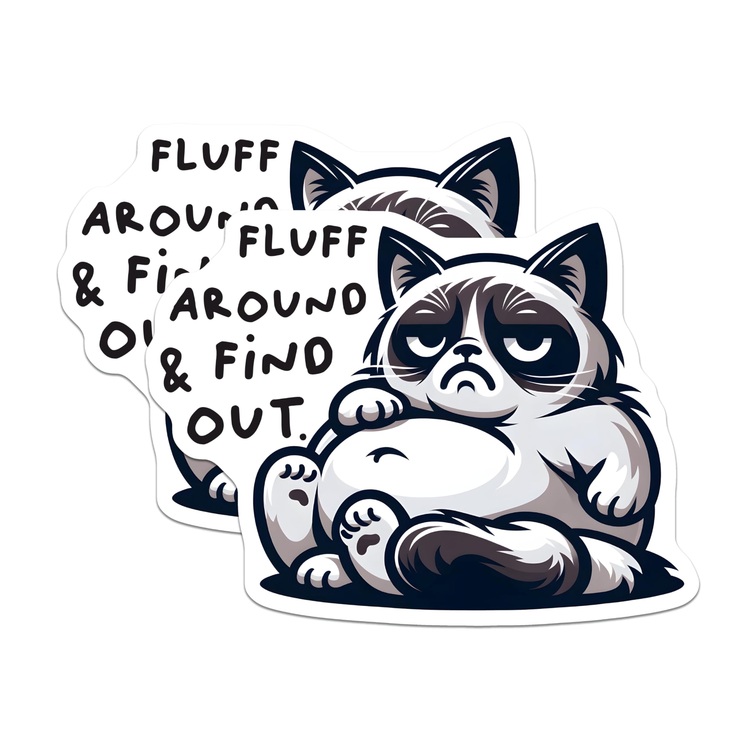 (2 Pack) Grumpy Cat Magnets - Funny Cat Quote - Fluff Around and Find Out - 5" On Longest Side - for Cars, Fridges, Toolboxes - Made in USA - MAG7347