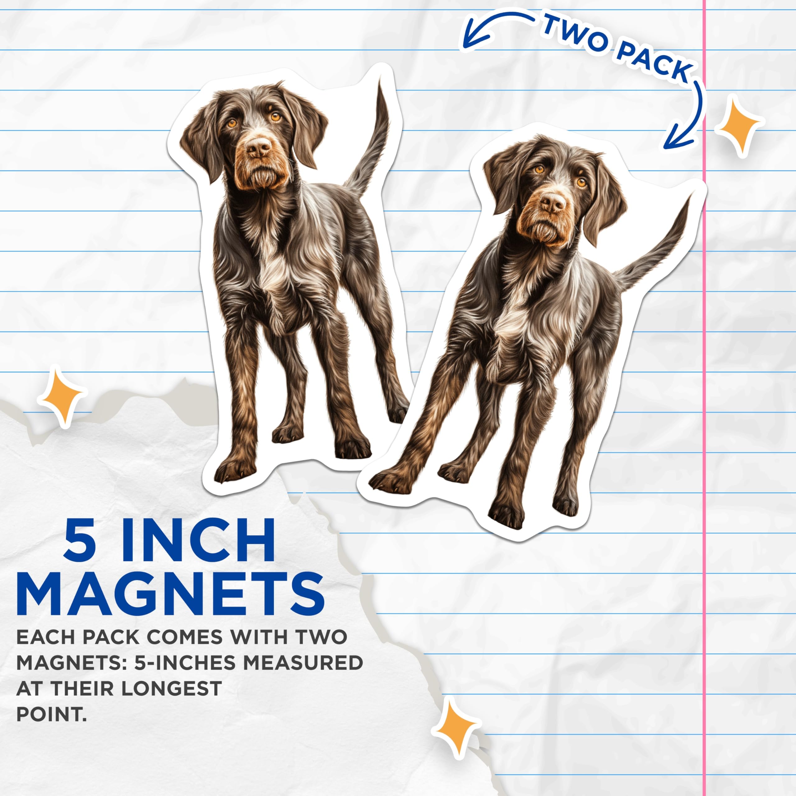 (2 Pack) German Wirehaired Pointer Magnets - GWP Dog Art - Hunting Dog Lover Pet Owner - 5 Inches On Longest Side - Thick Durable Magnet - Made in USA - MAG27426
