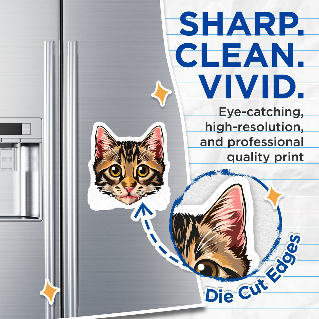 (2 Pack) Tabby Cat Face Magnets - Cute Kitten Art - Pet Lover Fridge Decor - Cat Mom Accessory - 5 Inches On Longest Side - Thick Durable Magnet - Made in USA - MAG39727