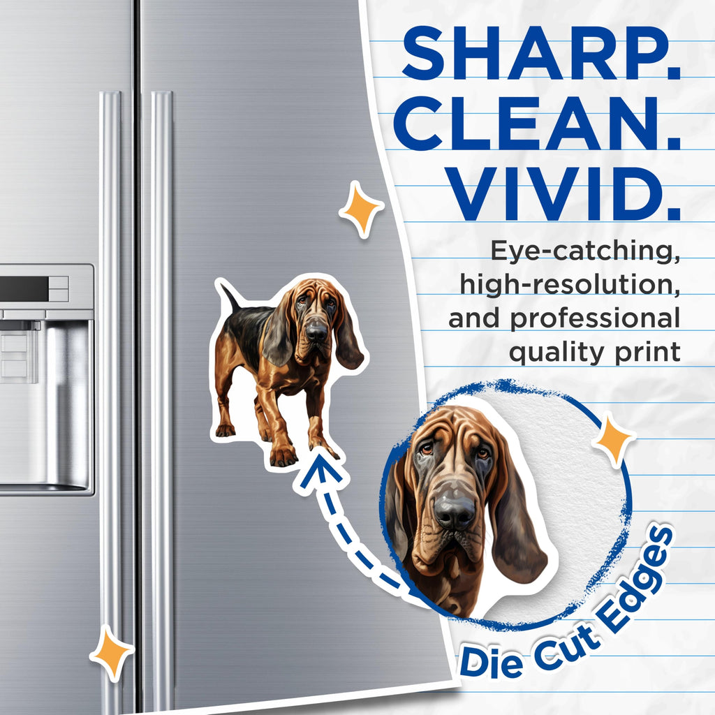 (2 Pack) Bloodhound Dog Magnets - Realistic Hound Dog Decor - Pet Lover Refrigerator Accessory - 5 Inches On Longest Side - Thick Durable Magnet - Made in USA - MAG27264