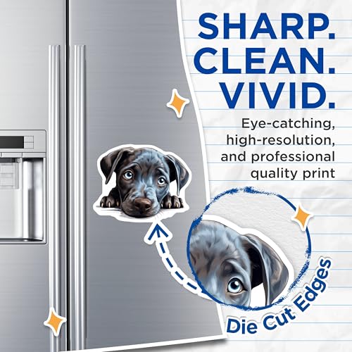 (2 Pack) Cute Dog Fridge Decor Magnet - Pet Lovers Home Office Decoration - 5" On Longest Side - Sticks to Smooth Flat Surfaces - Made in USA - MAG9876