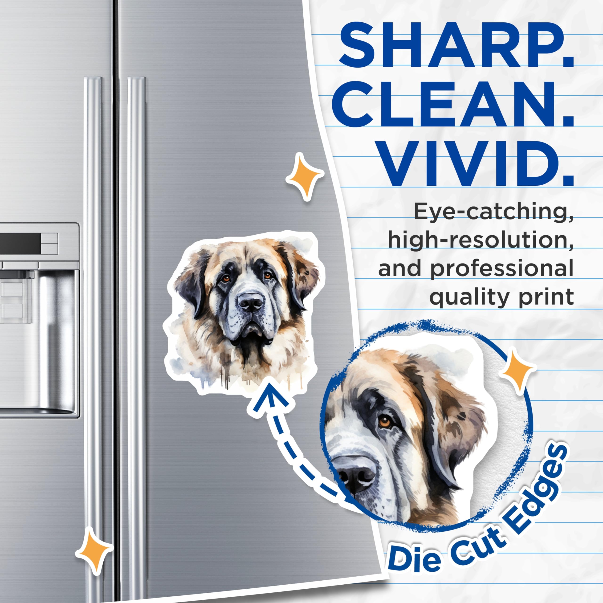 (2 Pack) Saint Bernard Watercolor Magnets - Dog Breed Lover - Pet Parent Decor - 5 Inches On Longest Side - Thick Durable Magnet - Made in USA - MAG29488