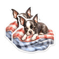 (2 Pack) Boston Terrier Magnets - Cute Puppy Fridge Magnets - Dog Lover Home Decor - 5" On Longest Side - Premium Magnet - for Cars, Refrigerators, Toolboxes, Lockers - Made in USA - MAG16580