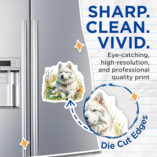 (2 Pack) Dog Magnets - Animal Magnets - Art Magnets - Flower Magnets - Cute Magnets for Fridge - 5" On Longest Side - for Cars, Fridges, Toolboxes - Made in USA - MAG7172