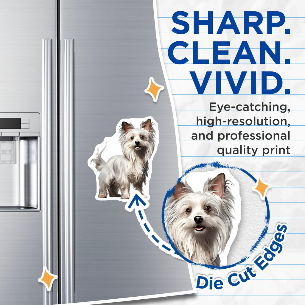 (2 Pack) Maltese Dog Magnets - White Puppy Decor - Pet Lover Kitchen Accessories - 5 Inches On Longest Side - Thick Durable Magnet - Made in USA - MAG24432