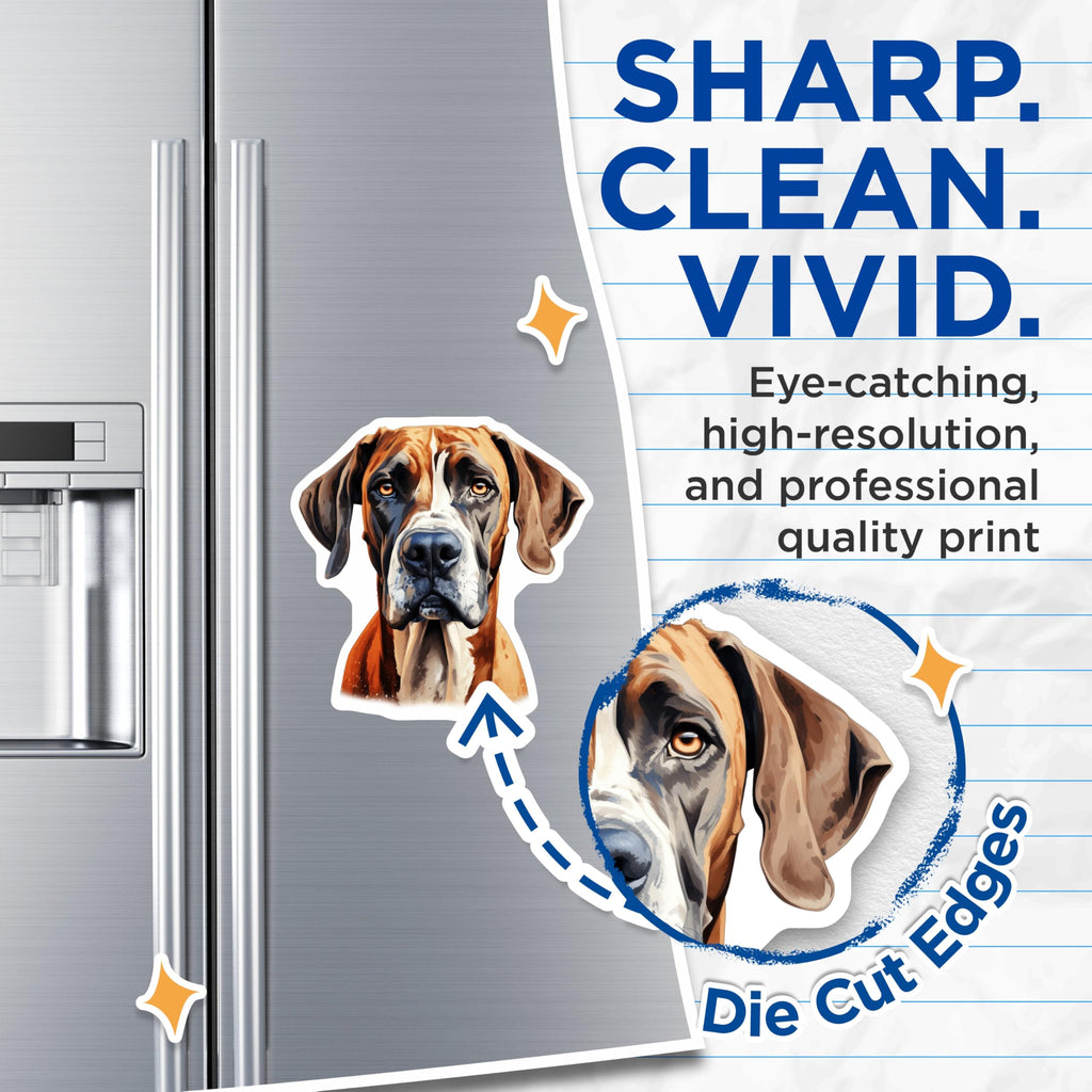 (2 Pack) Great Dane Magnets - Dog Lover Decor - Pet Owner Accessory - 5 Inches On Longest Side - Thick Durable Magnet - Made in USA - MAG29985