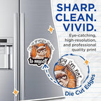 (2 Pack) Grumpy Cat Magnets - Funny Quote Magnets - Humorous Fridge Magnets for Office or Home - 5" On Longest Side - for Cars, Fridges, Toolboxes - Made in USA - MAG4337