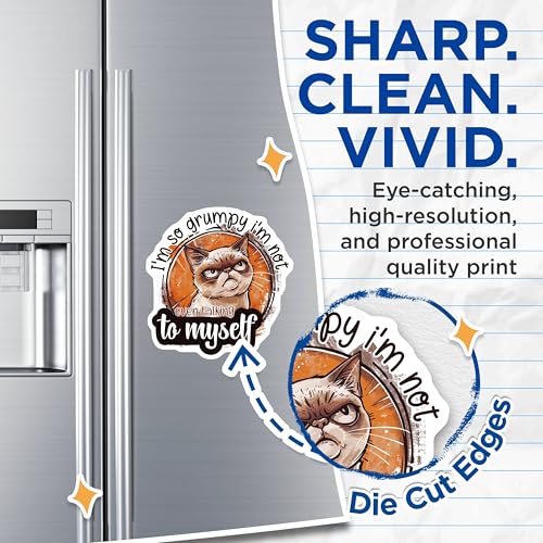 (2 Pack) Grumpy Cat Magnets - Funny Quote Magnets - Humorous Fridge Magnets for Office or Home - 5" On Longest Side - for Cars, Fridges, Toolboxes - Made in USA - MAG4337