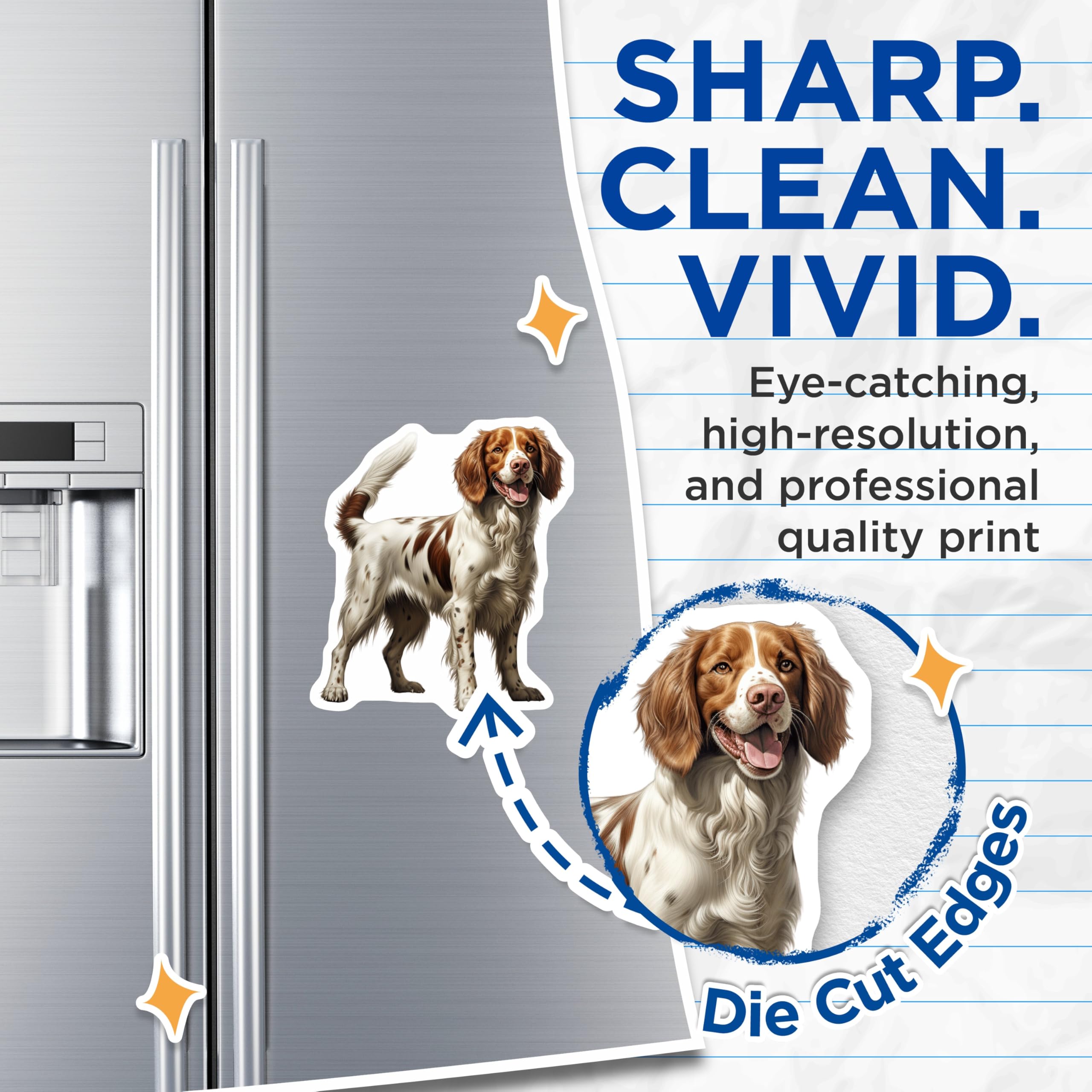 (2 Pack) Brittany Spaniel Magnets - Happy Dog Lover Decor - English Springer Spaniel Art - Canine Fridge Decal - 5 Inches On Longest Side - Thick Durable Magnet - Made in USA - MAG24296