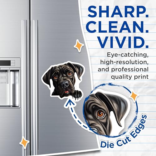 (2 Pack) Cute Pet Decor Magnet - Animal Art - 5" On Longest Side - Sticks to Smooth Flat Surfaces - Made in USA - MAG9900