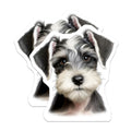 (2 Pack) Schnauzer Magnets - Puppy Dog Magnets - Pet Lover Refrigerator Decor - 5 Inches On Longest Side - Thick Durable Magnet - Made in USA - MAG25159