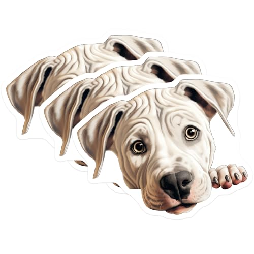 (3 Pack) American Bulldog Decals - Cute Dog Stickers - Laptop Decal - 3 Inches On Longest Side - Easy Peel & Apply - Made in USA - 3MCS8732