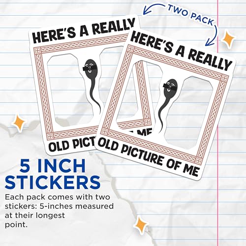 (2 Pack) Funny Retro Stickers - Humorous Quote Decals - Hilarious Nostalgic Stickers - 5" On Longest Side - Sticks to Smooth Flat Surfaces - Made in USA - BMCS5960