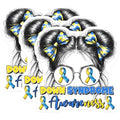 (3 Pack) Down Syndrome Awareness Decals - Trisomy 21 - Special Needs Sticker - 3 Inches On Longest Side - Easy Peel & Apply - Made in USA - 3MCS6962
