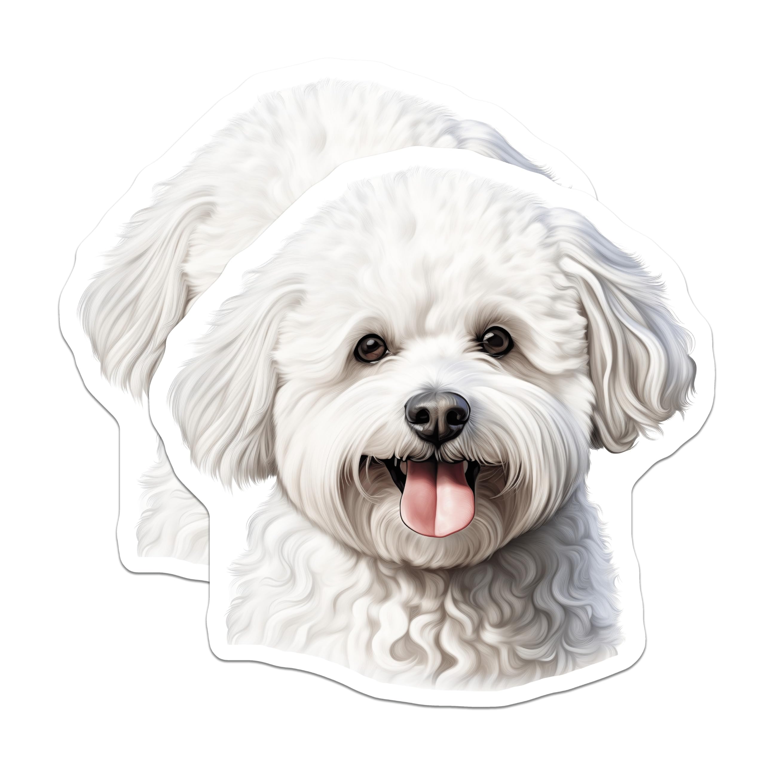 (2 Pack) Bichon Frise Dog Magnets - Cute Fluffy Pet Owner Appliance Decor - Animal Lover Kitchen Art - 5 Inches On Longest Side - Thick Durable Magnet - Made in USA - MAG30239