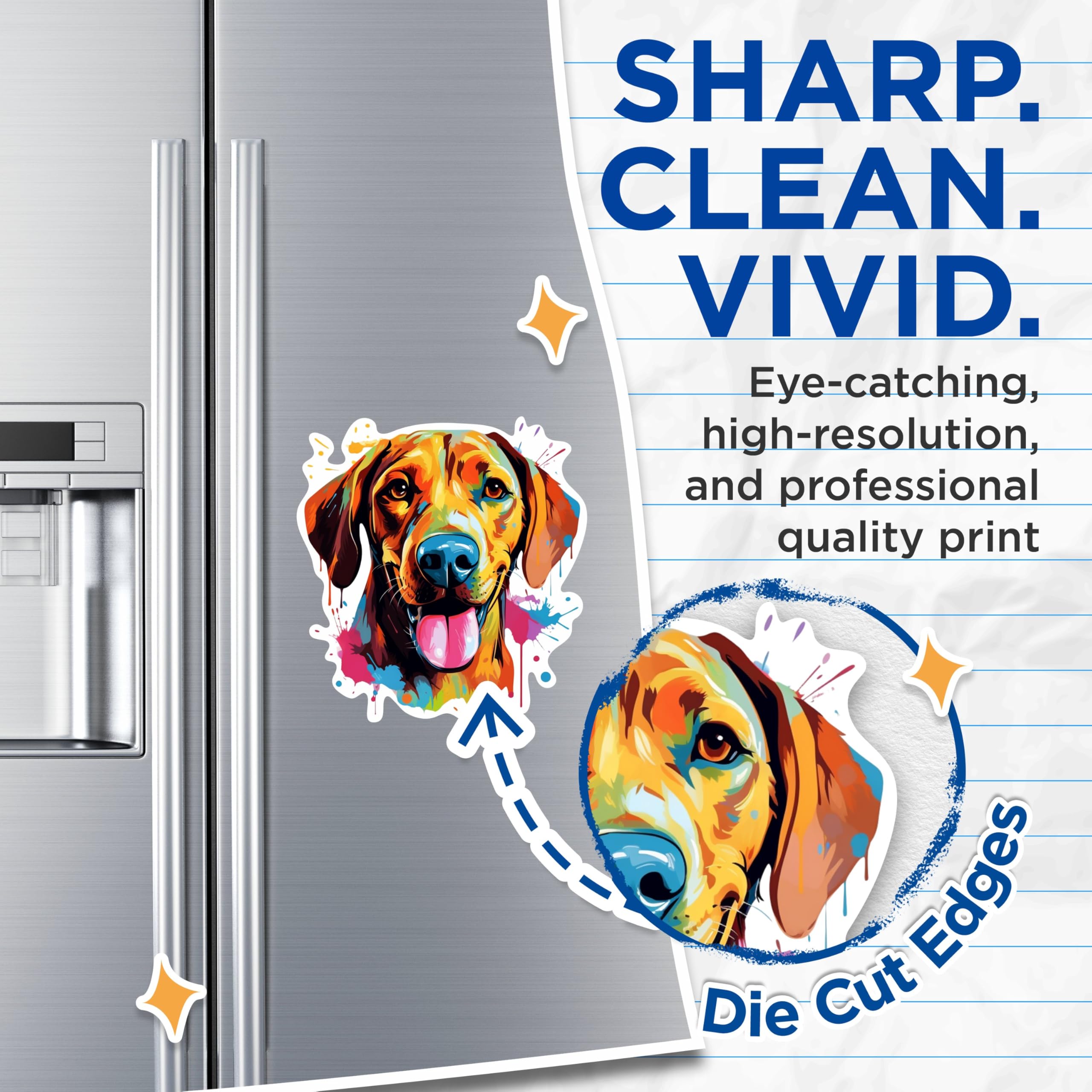 (2 Pack) Rhodesian Ridgeback Dog Breed Magnets - 5 Inches On Longest Side - Choose from Over 100 Dog Breeds - for Cars, Refrigerators, Toolboxes - Made in USA - MAG1933