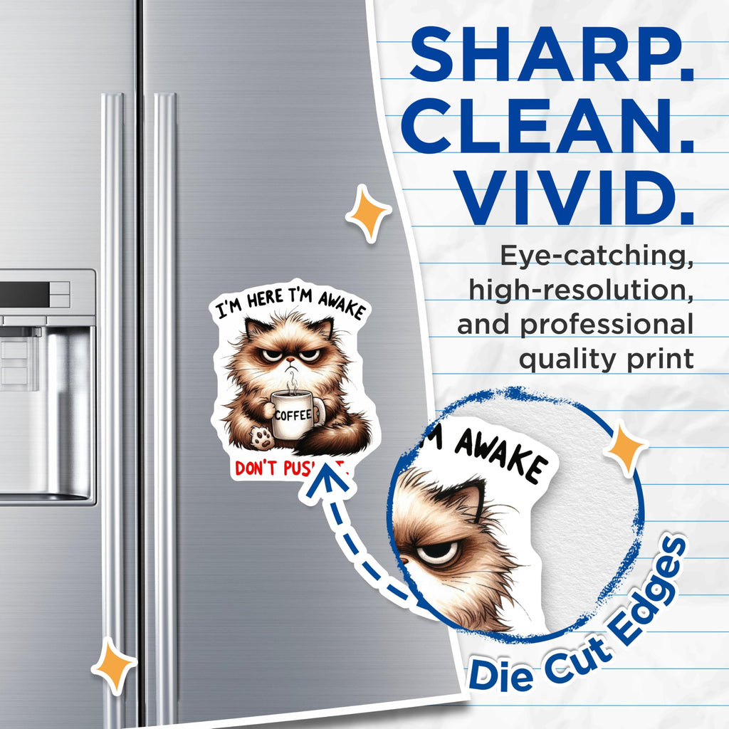 (2 Pack) Grumpy Cat Magnets - Coffee Lover Decor - Funny Feline Fridge Accessory - 5" On Longest Side - Sticks to Smooth Flat Surfaces - Made in USA - MAG10496