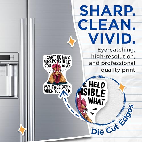 (2 Pack) Funny Chicken Quote Magnets - Humorous Kitchen - Animal Lover Accessory - Farmhouse Magnet - 5" On Longest Side - for Cars, Fridges, Toolboxes - Made in USA - MAG4553