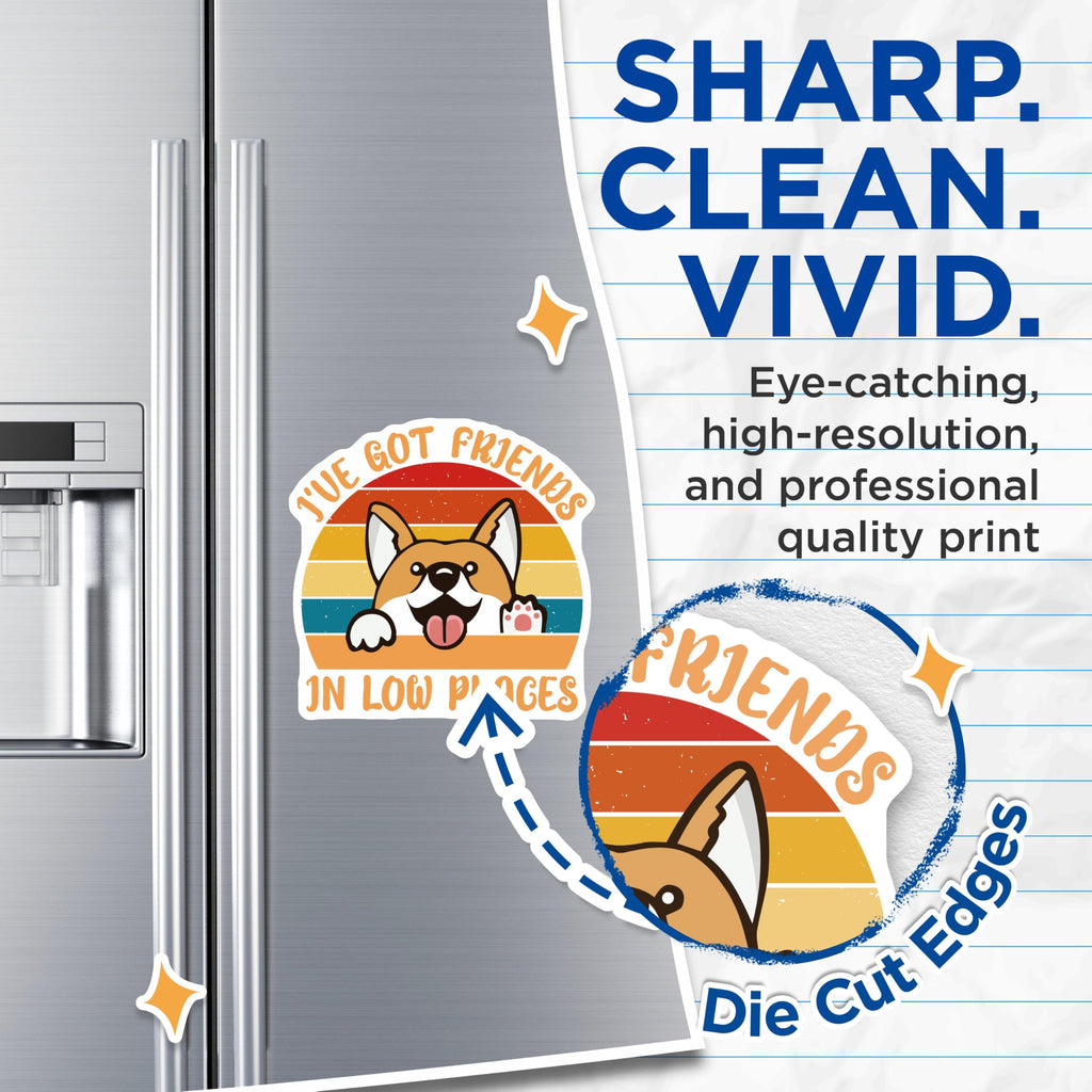 (2 Pack) Corgi Magnets - Friends in Low Places - Dog Fridge Magnets - Animal Pet Saying - 5" On Longest Side - Premium Magnet - for Cars, Refrigerators, Toolboxes, Lockers - Made in USA - MAG17439