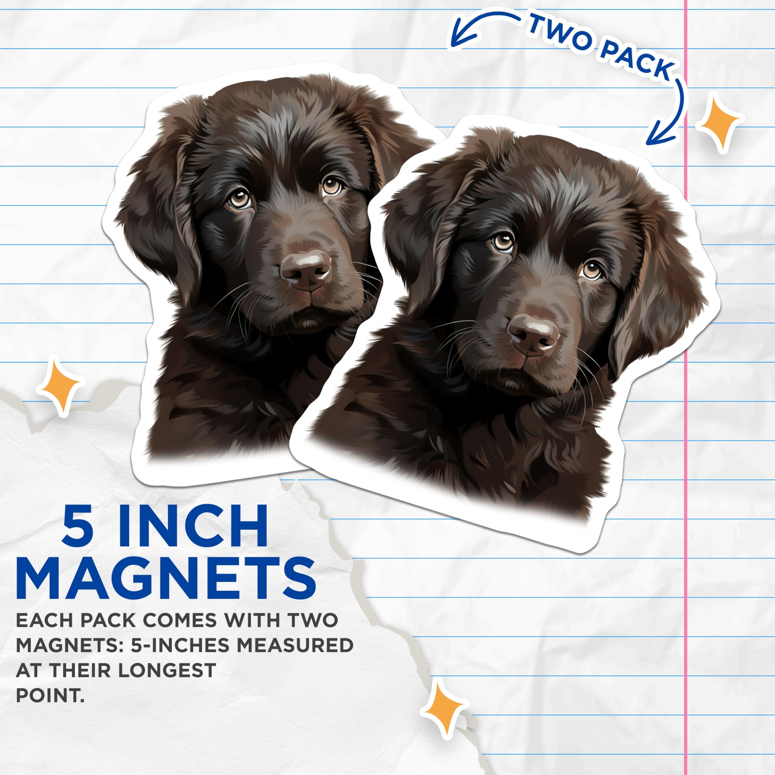 (2 Pack) Flat Coated Retriever Puppy Magnets - Adorable Brown Dog Decor - Pet Parent Refrigerator Art - 5 Inches On Longest Side - Thick Durable Magnet - Made in USA - MAG30595