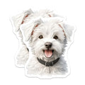 (2 Pack) White Fluffy Dog Magnets - Dog Mom Refrigerator Decor - Cute Puppy Animal Art - 5 Inches On Longest Side - Thick Durable Magnet - Made in USA - MAG29941